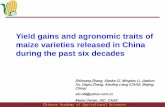 S3.2. Yield gains and agronomic traits of maize varieties released in China during the past six decades