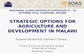 Strategic Options for agriculture and development in Malawi by Andrew Dorward