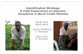 Identification Strategy: A Field Experiment on Dynamic Incentives in Rural Credit Markets