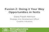 NTU Fusion II: Opportunities in Nottingham