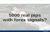 forex signals - over 5000 pips with forex signals
