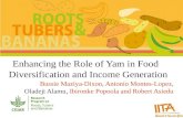 Enhancing the role of yam in food diversification and income generation