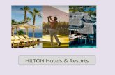 Hilton Customer Decision Journey