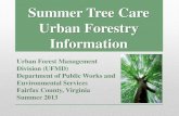 Summer Tree Care-Urban Forestry Information