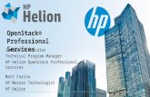 HP Helion OpenStack and Professional Services