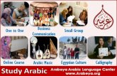 Arabeya Programs and Offers