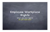 Information from Jack Tuckner about Workplace Rights