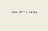 Small arms survey 0531