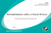 Critical illness rehabilitation: slide set