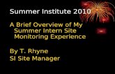 2010 Summer Institute-Atlanta Work Force
