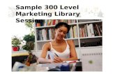 300 Level Marketing Workshop