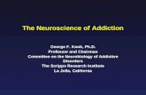Neurobiology of Drug Addiction: A Dysregulated Neuroadaptive View