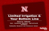Limited Irrigation and Your Bottom Line