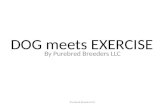 Dog meets Exercise | Purebred Breeders LLC