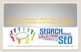 Top 10 Advance SEO Tips for Your Free from Panda and Penguin Effect