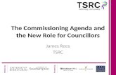 Commissioning and the Third Sector, James Rees