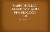 1. basic human physiology