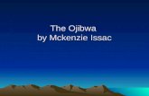 The ojibwa by mckenzie issac