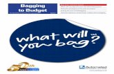 Auto Bag: Bagging-to-Budget-Brochure