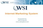 Invest in an Internet Marketing System not a Website (WSI - Cyprus)