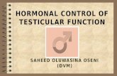 HORMONAL CONTROL OF TESTICULAR FUNCTION