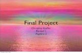 Final project algebra 2