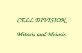 Introduction to Cell division