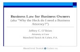 Business Law 101 aka Why the Heck Do I Need a Business Lawyer?
