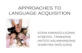 Approaches To Language Acquisition