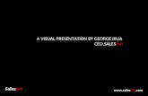Presentation at CIO 100 Awards by SalesIn4 CEO