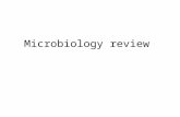 Microbiology review