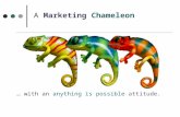 Marketing Chameleon - Janice Mac Lean