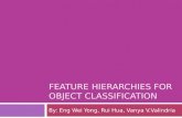 Feature Hierarchies for Object Classification