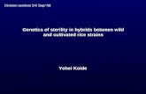 Genetics of sterility in hybrids between wild and cultivated ...