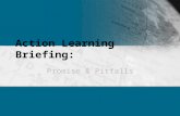 Action learning briefing (1)