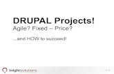 Agile and fixed price Drupal projects