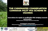 The chimpanzee conservation corridor pilot PES scheme in Uganda