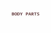 Body parts   kopya