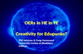 OERs in HE in FE: Creativity for edupunks?