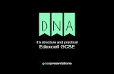 Edexcel GCSE Biology | 1) DNA