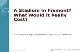 Real Cost Of Stadium