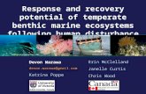 Response and Recovery Potential of Benthic Marine Ecosystems