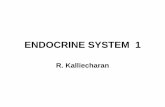 Endocrine System-I