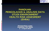 Panduan Analisis dan Penyajian Data EHRA (Environmental Health Risk Assessment)