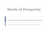 Seeds of prosperity v2.1 print friendly