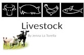 English livestock-assigned-topic-pres