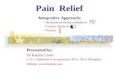Pain Relief - An Integrative Approach