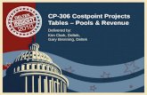 Deltek Insight 2010: Costpoint Projects Tables – Pools & Revenue