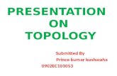 Presentation on topology by prince kushwaha(0902 ec101053)