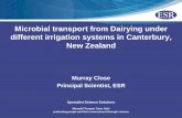 Microbial transport from Dairying under different irrigation systems in Canterbury, New Zealand - Murray Close